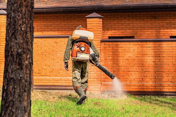 Trusted Ant Control service in Southside, AR - Nex Pest Control